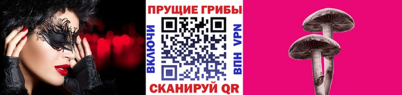 Псилоцибиновые грибы мицелий  сайты даркнета официальный сайт  Нефтегорск 